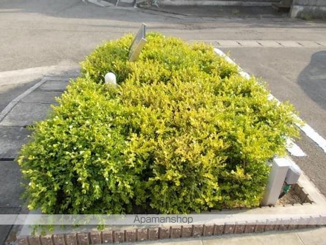 ティファニーハイツ　Ⅰ その他