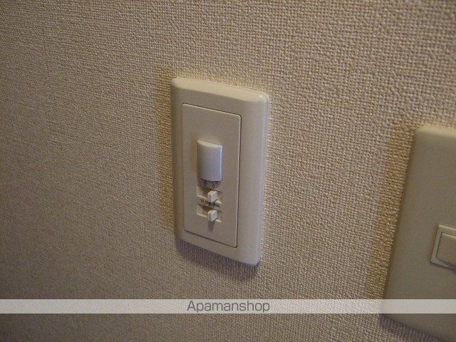 サンシャイン・コーダ その他