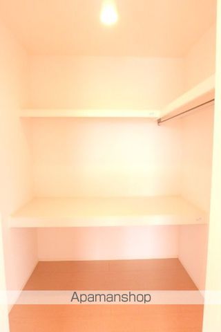 シンフォニエッタ その他