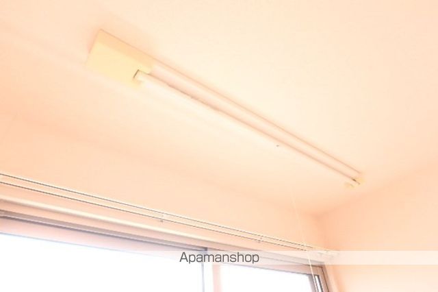 シンフォニエッタ その他