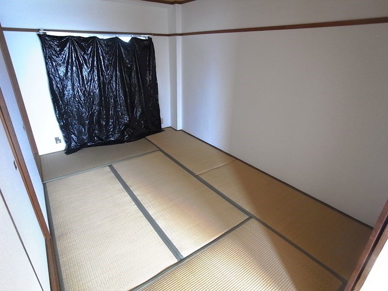 グリーンマンション その他