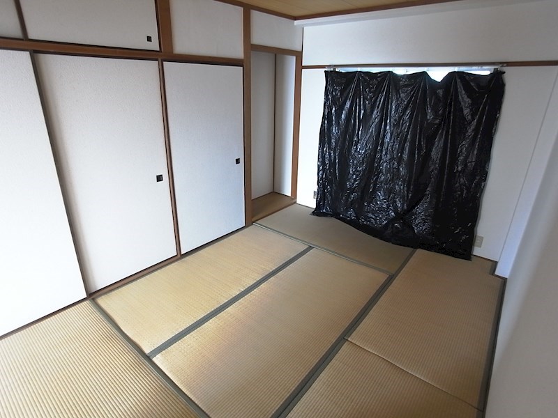グリーンマンション その他