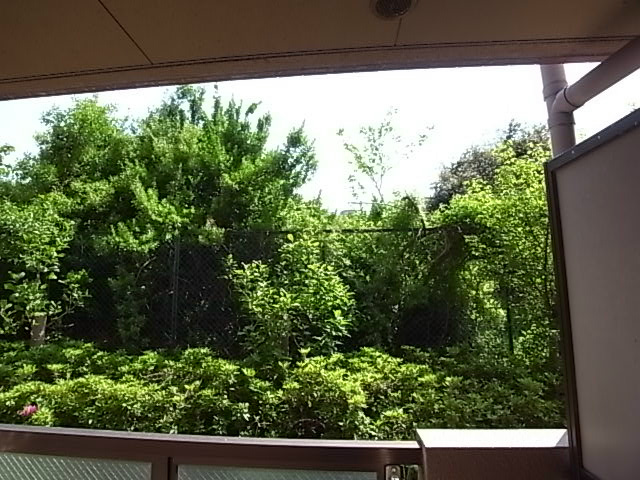 ウエストハイライズ 眺望