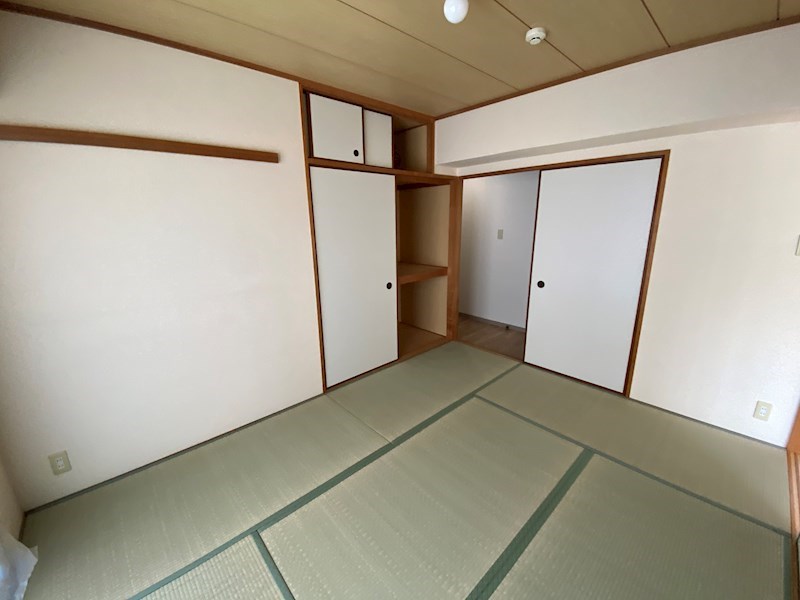 シャムロックⅡコート その他