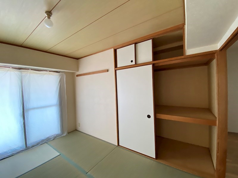 シャムロックⅡコート その他