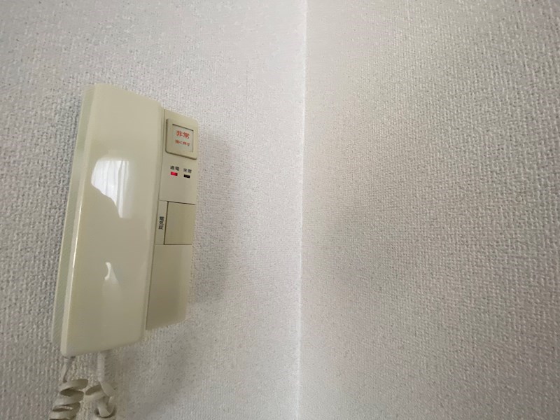 シャムロックⅡコート その他