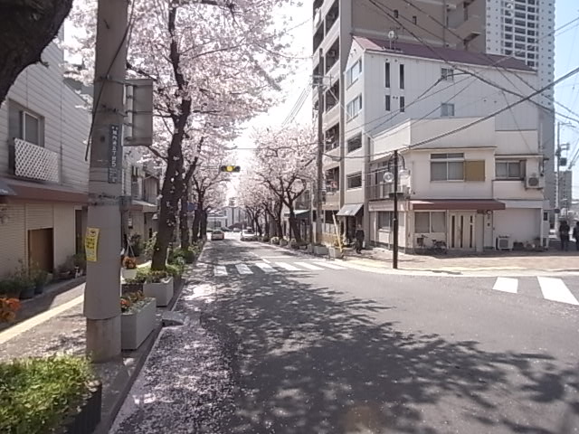 王子パークルームⅡ 商店街