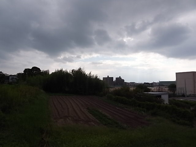 パルティーダ　C棟 眺望