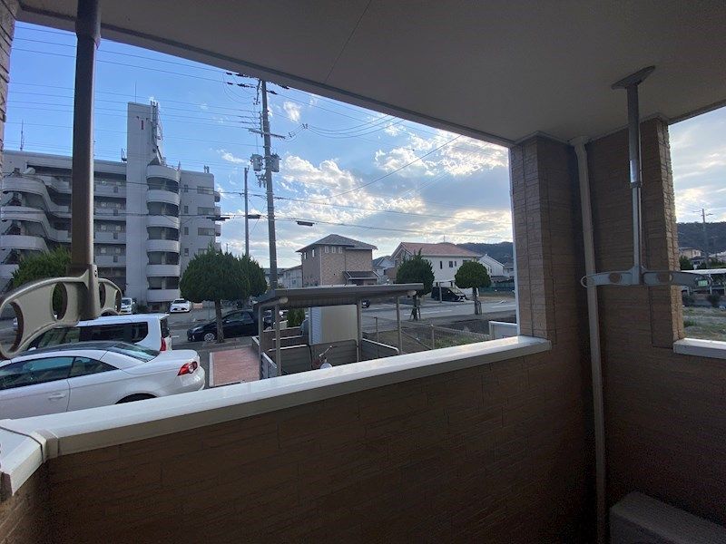 ヴィオラ その他