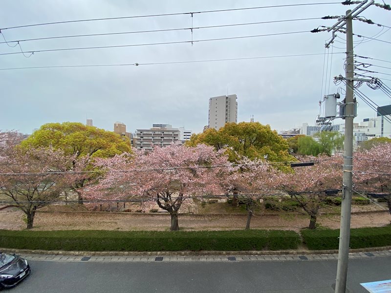 ヴィンチェロ その他