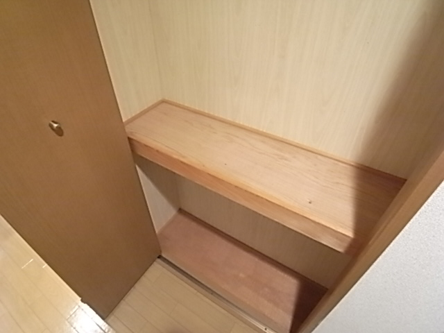 ヴェルドミールステラ 収納
