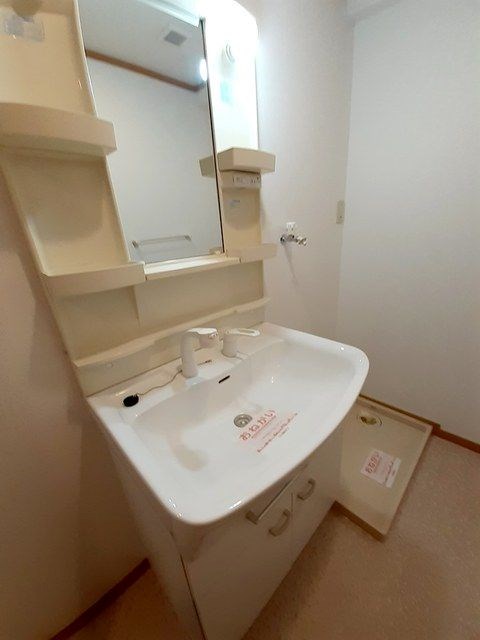 プラムガーデン 洗面所