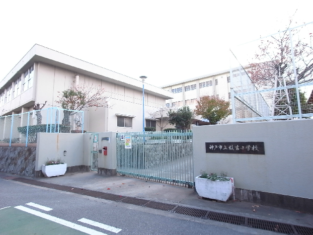 マイルドマメゾン 小学校