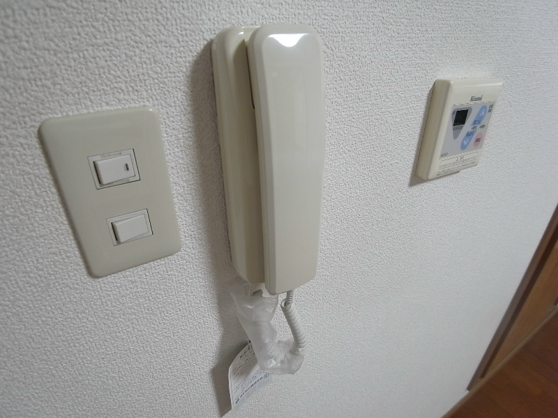 フィエルテ その他