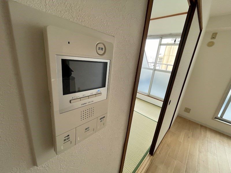 パレオーギ その他