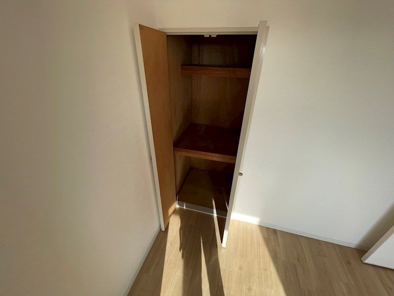 パレオーギ その他