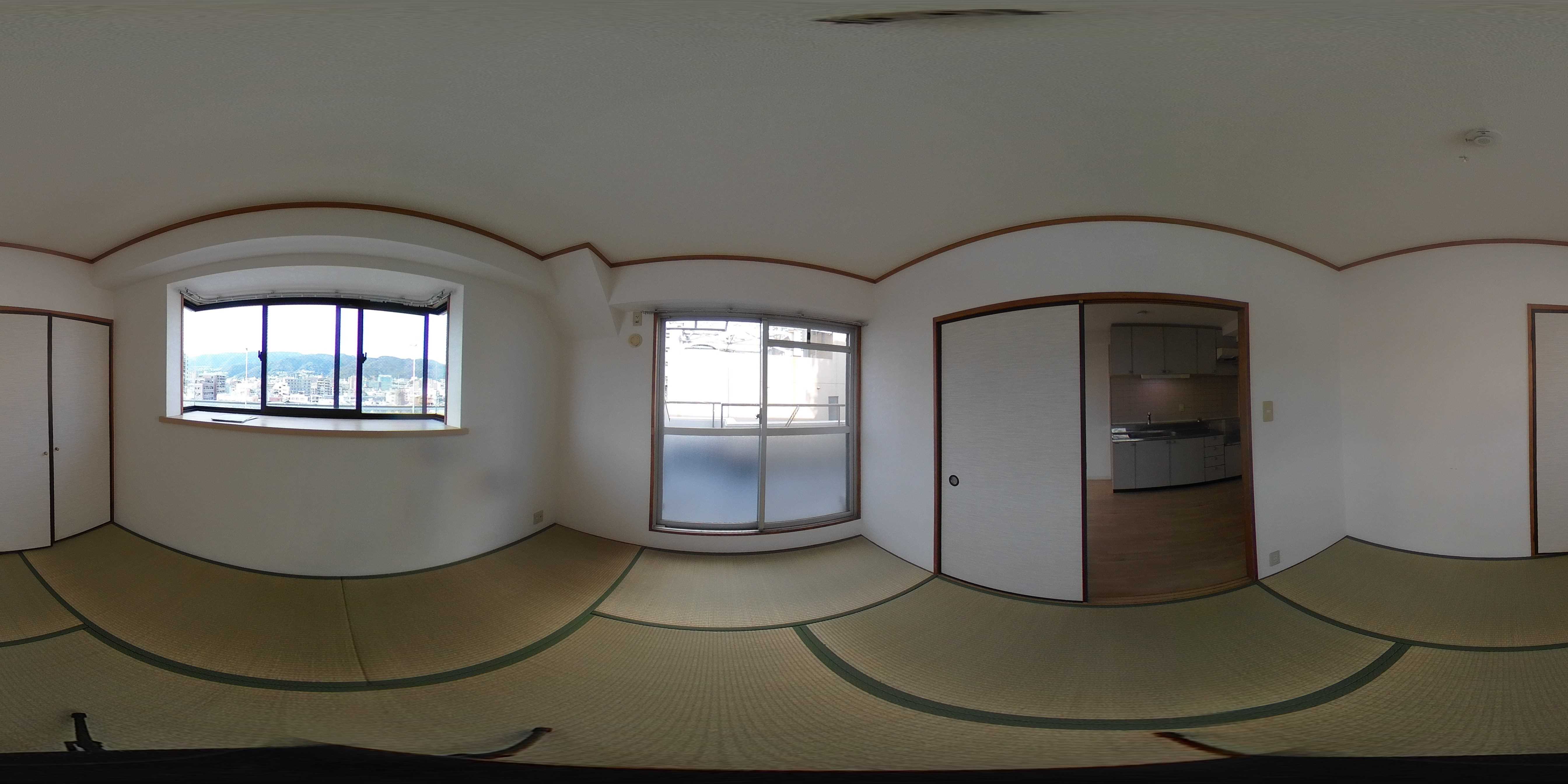 パレオーギ その他
