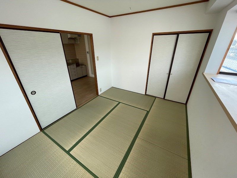 パレオーギ その他