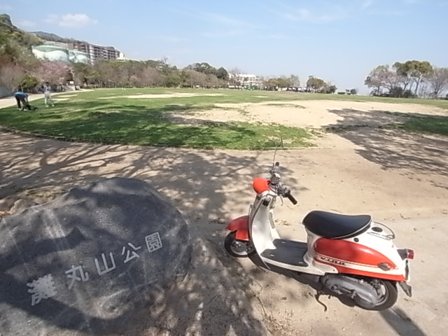 MAYA-桜-ビレッジ 公園