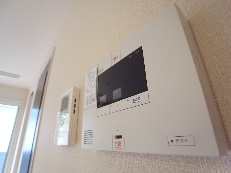 アネシス その他