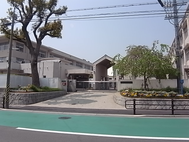 アルファコート 小学校