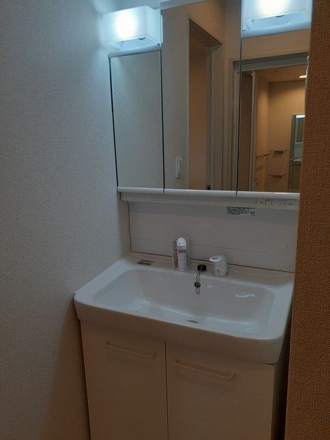 ボヌール 洗面所
