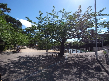 エルム御影 公園