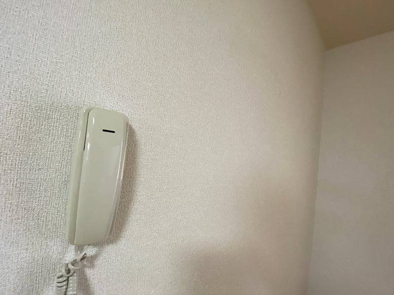 パレスイナバ その他