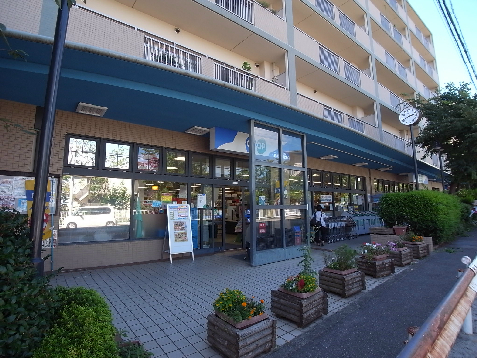 ビバアルファ スーパー