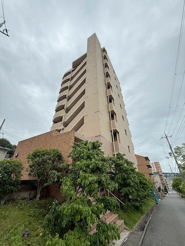 St.HILLS その他