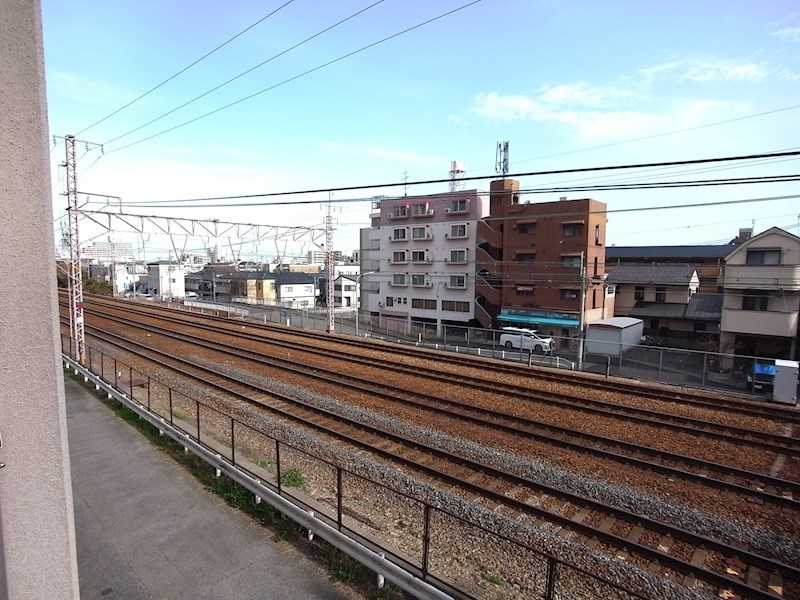 weed15 眺望
