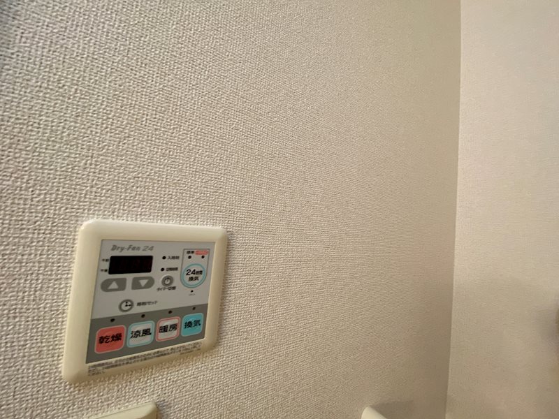 ヴェルゼ書写Ⅱ その他