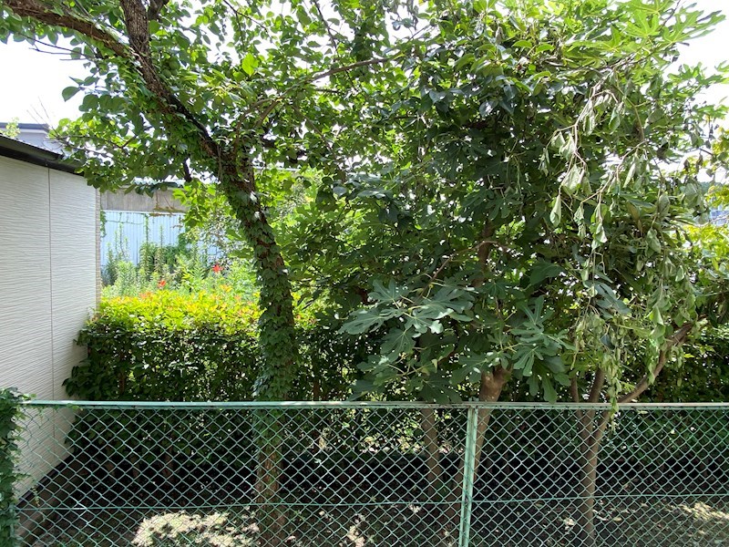 トゥインクル華 眺望