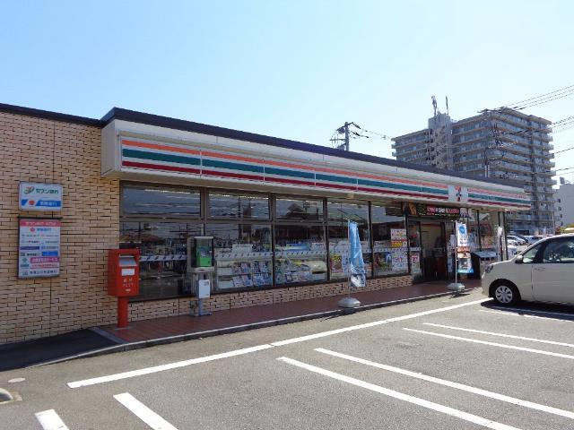 Ｂｏａ　ｓｏｒｔｅ（ぼあ　そるて） 　 その他外観3