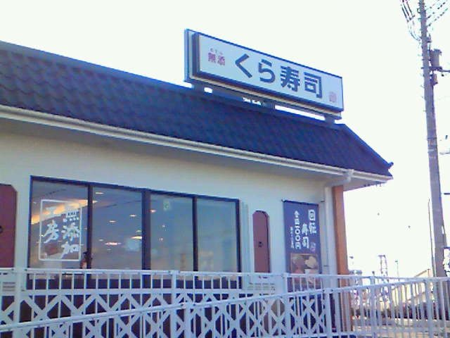 Ｂｏａ　ｓｏｒｔｅ（ぼあ　そるて） 　 その他外観6