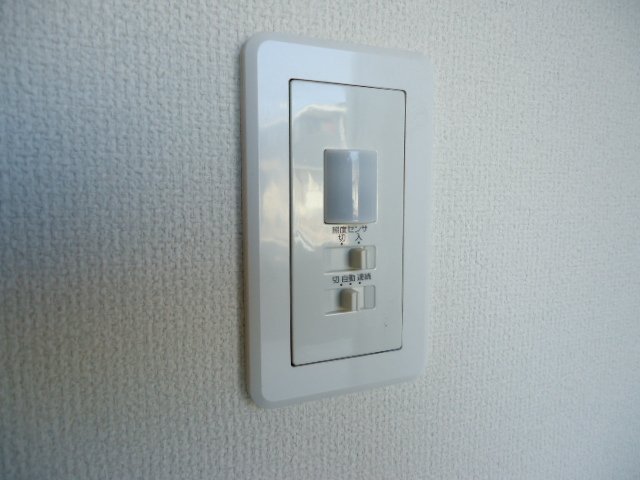 コンソラータ その他13