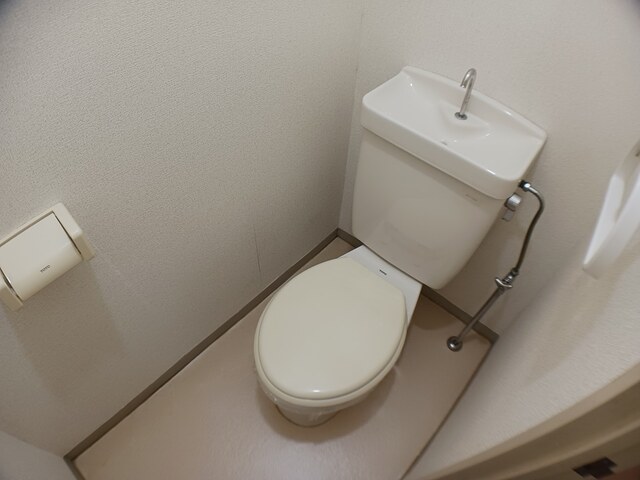 センターサーパス その他3