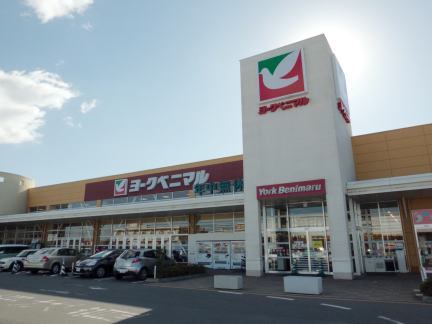 センターサーパス その他外観5
