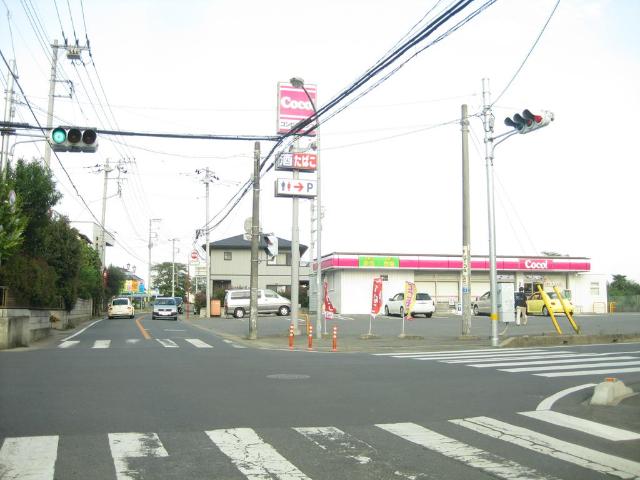 コモド　ピノ　Ⅳ その他外観3