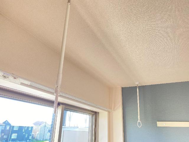 アロース その他9