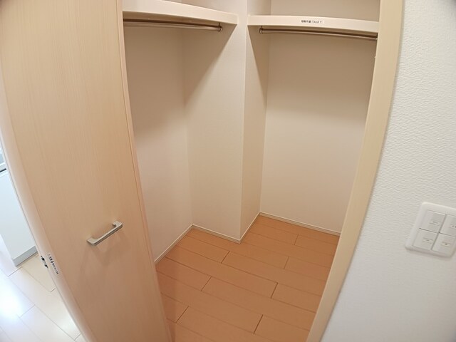 サンフラワー その他1