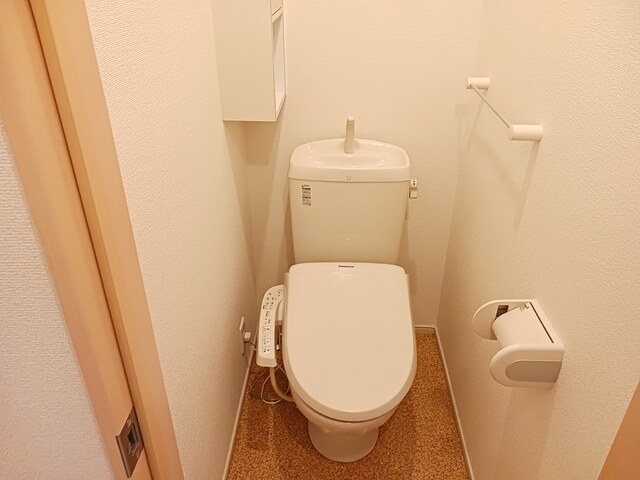 サンフラワー その他3