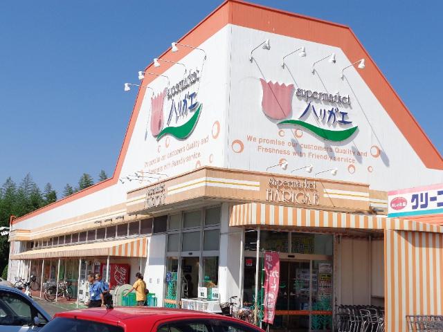 KASUMIヒルズ その他外観3