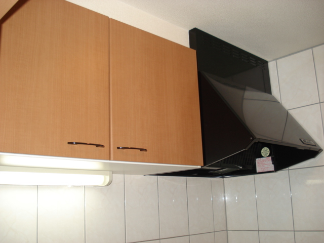 Ｊｅ　ｌｅ　ｐｒｅｎｄｓ　(ジュルプラン） その他14