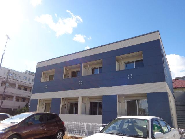 Ｂｏａ　ｓｏｒｔｅ（ぼあ　そるて） 　 外観