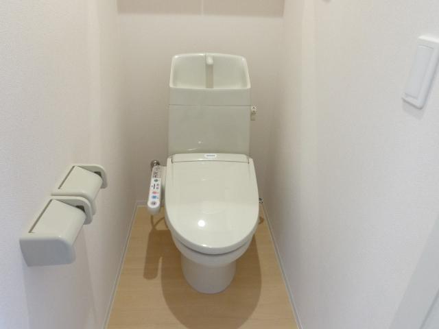 Ｂｏａ　ｓｏｒｔｅ（ぼあ　そるて） 　 その他2