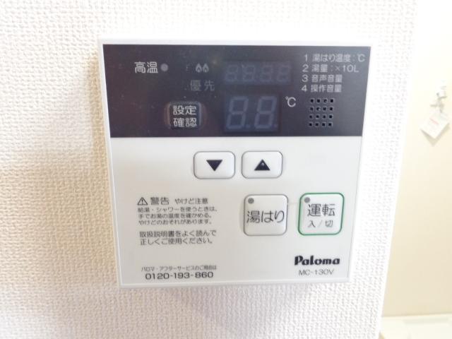 Ｂｏａ　ｓｏｒｔｅ（ぼあ　そるて） 　 その他12