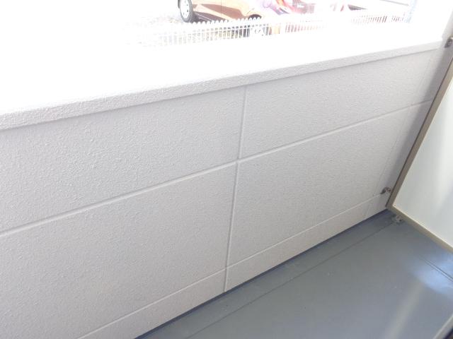 Ｂｏａ　ｓｏｒｔｅ（ぼあ　そるて） 　 その他15