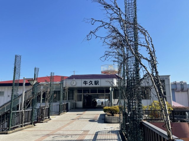 Ｉｌｌｕｓｉｏｎ その他外観1