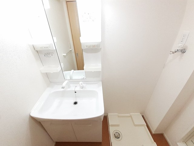 ダンデライオン その他1